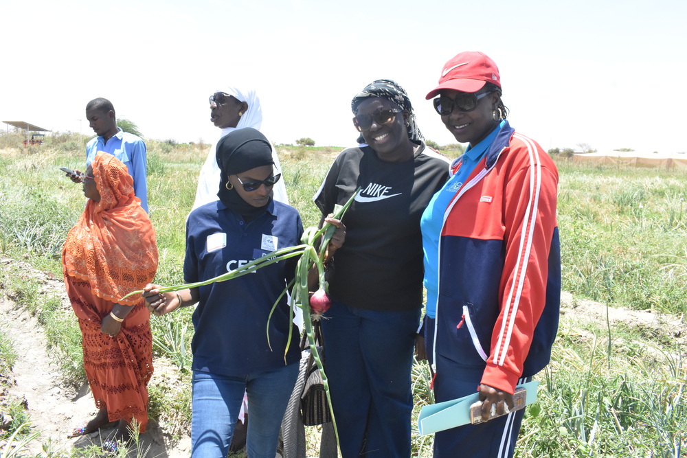 UGB et REFAN : Une synergie au service de l’agriculture féminine dans la vallée