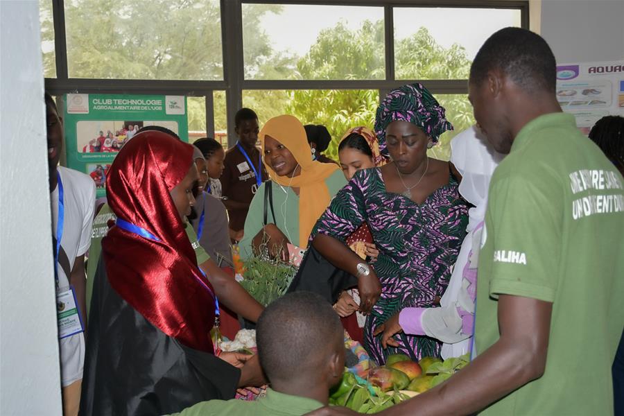 Symposium international sur le haricot mungo à l’UGB : Pour une agriculture durable et résiliente