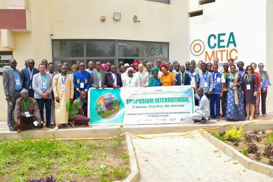 Symposium international sur le haricot mungo à l’UGB : Pour une agriculture durable et résiliente