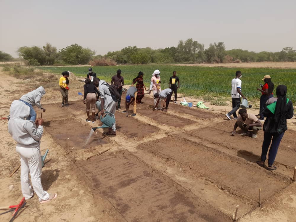 Migration et développement : 100 jeunes de Saint-Louis formés