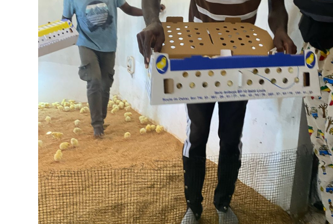 Migration et développement : 100 jeunes de Saint-Louis formés