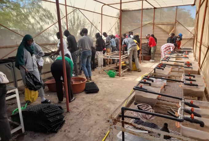 Migration et développement : 100 jeunes de Saint-Louis formés